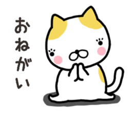 Wide-set eyes cat sticker #14834324