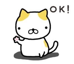 Wide-set eyes cat sticker #14834327