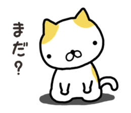 Wide-set eyes cat sticker #14834329