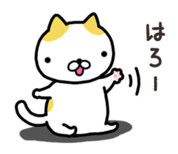 Wide-set eyes cat sticker #14834330