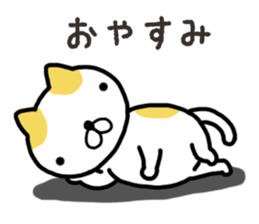 Wide-set eyes cat sticker #14834332