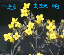 Cong sticker #14835752