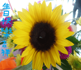 Cong sticker #14835753