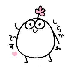 My name is SHIRAKAWA