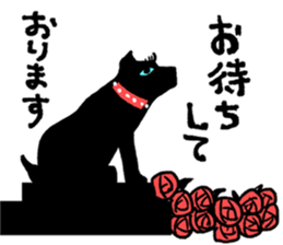 Recommended women's recommendations sticker #14837779