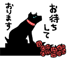 Recommended women's recommendations sticker #14837779