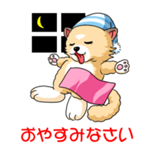 Puchako sticker #14838011