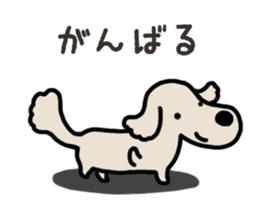 Miniature Dachshund No.5 sticker #14838704