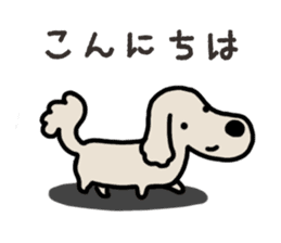 Miniature Dachshund No.5 sticker #14838709