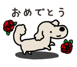 Miniature Dachshund No.5 sticker #14838727