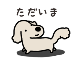 Miniature Dachshund No.5 sticker #14838731