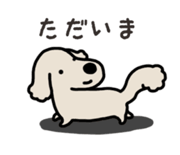 Miniature Dachshund No.5 sticker #14838731