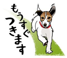 Day to day Jack Russell Terrier part2 sticker #14839525