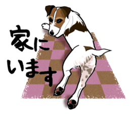 Day to day Jack Russell Terrier part2 sticker #14839526