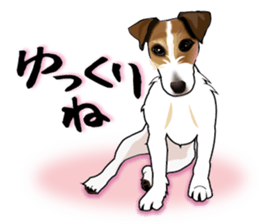 Day to day Jack Russell Terrier part2 sticker #14839530