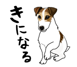 Day to day Jack Russell Terrier part2 sticker #14839536
