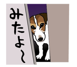 Day to day Jack Russell Terrier part2 sticker #14839540