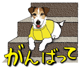 Day to day Jack Russell Terrier part2 sticker #14839546