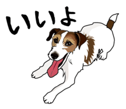 Day to day Jack Russell Terrier part2 sticker #14839552