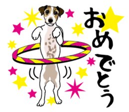 Day to day Jack Russell Terrier part2 sticker #14839553