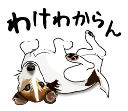 Day to day Jack Russell Terrier part2 sticker #14839555