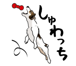 Day to day Jack Russell Terrier part2 sticker #14839559