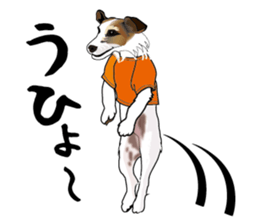 Day to day Jack Russell Terrier part2 sticker #14839561