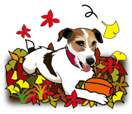 Day to day Jack Russell Terrier part2 sticker #14839563