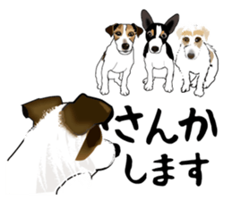Day to day Jack Russell Terrier part2 sticker #14839566
