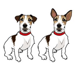 Day to day Jack Russell Terrier part2 sticker #14839571