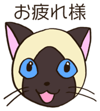 Seal point Siamese cat sticker #14840135