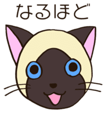 Seal point Siamese cat sticker #14840139