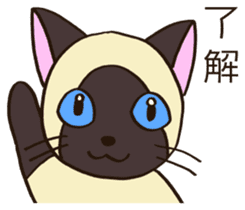 Seal point Siamese cat sticker #14840148