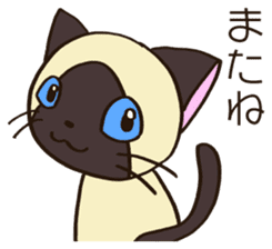 Seal point Siamese cat sticker #14840149