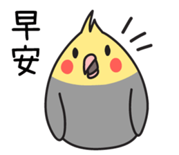 Our Cockatiel sticker #14840895