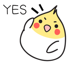 Our Cockatiel sticker #14840912