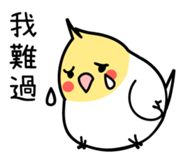 Our Cockatiel sticker #14840924