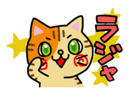 Calico cats sticker. sticker #14841135