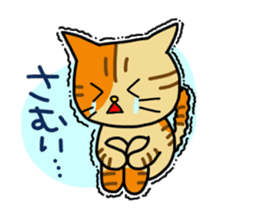 Calico cats sticker. sticker #14841155
