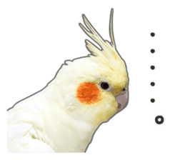 Brightly colored parakeets sticker #14841201