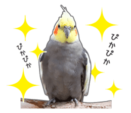 Brightly colored parakeets sticker #14841204