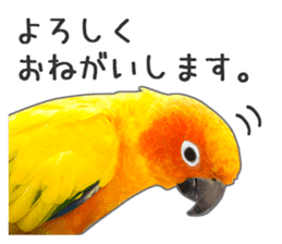 Brightly colored parakeets sticker #14841208