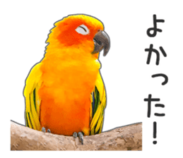 Brightly colored parakeets sticker #14841209