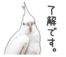 Brightly colored parakeets sticker #14841213