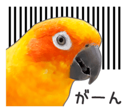 Brightly colored parakeets sticker #14841218