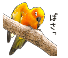 Brightly colored parakeets sticker #14841219