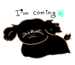 peki-sta sticker #14841647