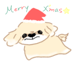 peki-sta sticker #14841666