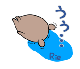 RIE's exclusive sticker sticker #14843829