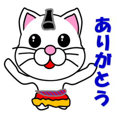 A white cat which plays sumo